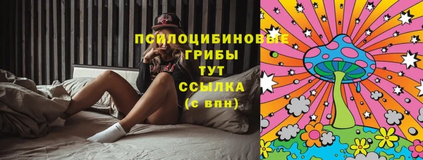МДМА Белокуриха