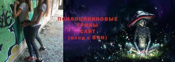ПСИЛОЦИБИНОВЫЕ ГРИБЫ Пролетарск